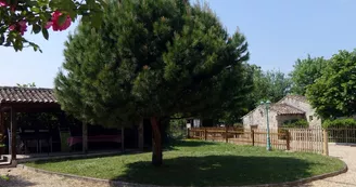 La Tourterelle