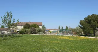 La Tourterelle