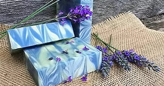 Le séchoir à bulles