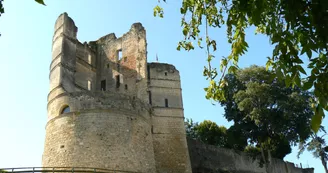 Château Médiéval  de Montguyon