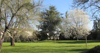 Les Placettes Hautes - Gîte Vue du Parc