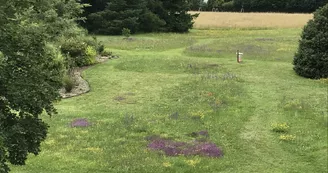 Les Placettes Hautes - Gîte Vue du Parc