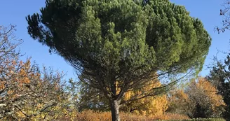 Les Placettes Hautes - Gîte Vue du Parc