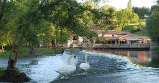 Aire de loisirs de Rejallant