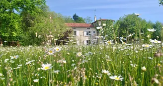 Moulin sous la vergne