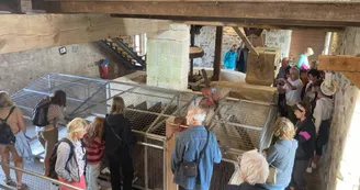 Moulin des Loges Moulin des Loges