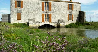 Moulin des Loges Moulin des Loges