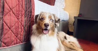 Hôtel François Premier