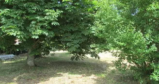 Meublé de Jean-Yves Beldent