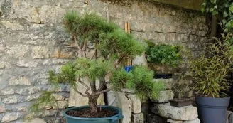 Au Calme des Figuiers