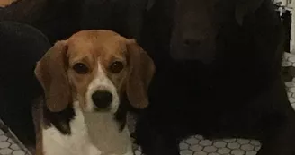 Le logis du canal - Chambres d'hôtes