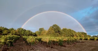 Gîte de la Bonne Chauffe - Col de Cygne
