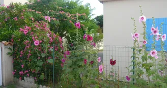 Ma maison à Oléron
