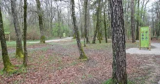 Forêt de Bois Blanc