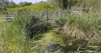 Le Marais des Bris