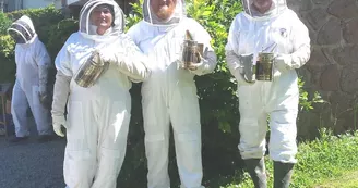 Apiculture : 13 Bees