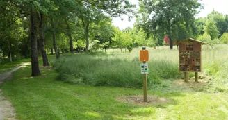Mail de Seugne et Arboretum à Jonzac