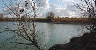 Etang de Courcerac Etang de Courcerac