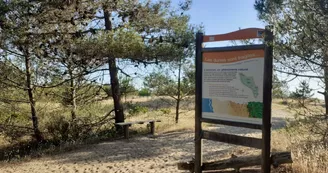 Parcours sportif à Grand-Village-Plage