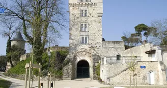 Château de Montendre