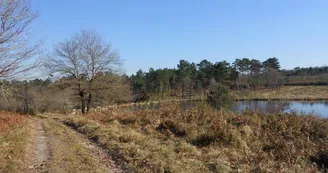 Chambres d'Hôtes du Safari Parc de Haute Saintonge
