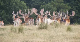 Chambres d'Hôtes du Safari Parc de Haute Saintonge
