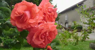 Gîte La Noisée