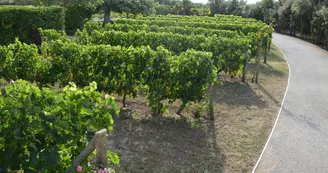 Les jardins du Phare de Chassiron