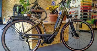 Location vélos Cycles Demion - Saint-Trojan les Bains