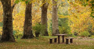 Aire de pique-nique - Le-Mung