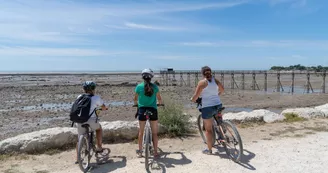Terra Aventura : La bête dans le guidon