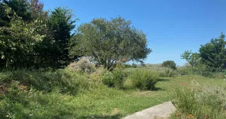 Villa Marena