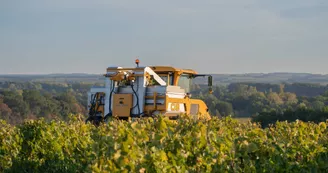 Maison Camps - Pineau Cognac