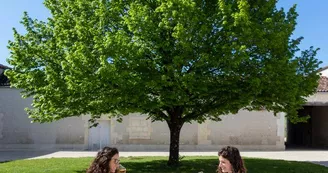 Guillon Painturaud Cognac et Pineau