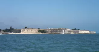 Promenade en mer