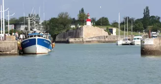 Promenade en mer