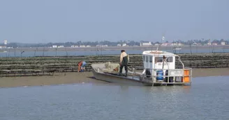 Promenade en mer