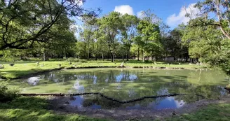 Le Marais aux Oiseaux