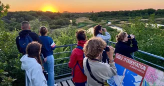 Le Marais aux Oiseaux