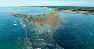Ecluse à poissons à Saint-Denis-d'Oléron Ecluse à poissons à Saint-Denis-d'Oléron