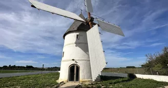 Moulin de La Brée Moulin de La Brée