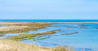 Plage de Chaucre