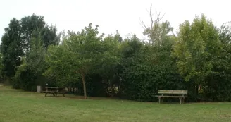 Aire de pique-nique