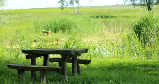 Aire de l'Etang de la Grève