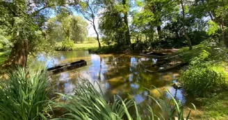 Location Vélos Charente