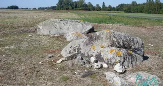 Dolmen pierre à Cerclet Dolmen pierre à Cerclet