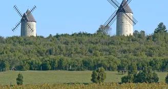 Moulins à vent de Chaillots