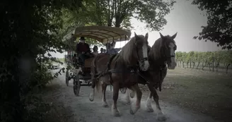 Les Jardins du Chaigne