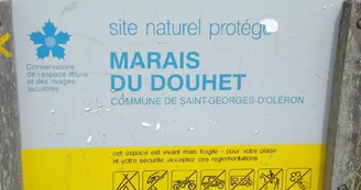 Marais du Douhet