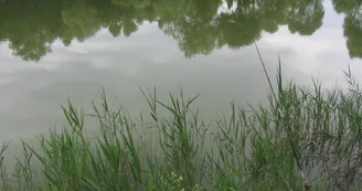 Plan d'eau Aunisien